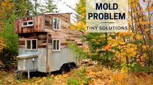 tiny house expedition found mold in