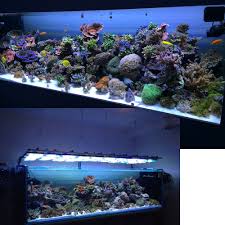 Aquarium Lighting Information Guide Reef Planted Par Pur Pas