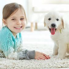 carpet cleaning near acton ca 93510