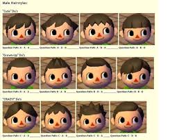 The following chart displays the hairstyles you can get for your character based on your answers to harriet's questions. Boy Acnl Hairstyles Animal Crossing New Leaf Hairstyle Cute766
