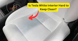 Is Tesla White Interior Hard To Keep Clean