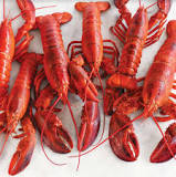 what-is-a-group-of-lobsters-called