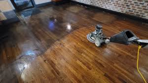 hardwood vinyl floor cleaning green