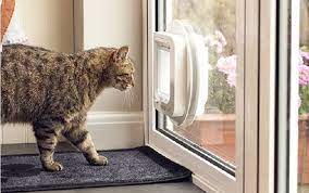 install cat door in door