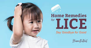 home remes for lice say goodbye for