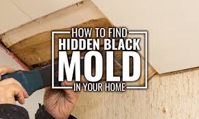 how to find fix hidden black mold in