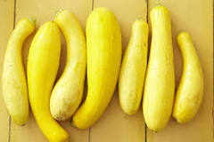 Are there different kinds of yellow squash?
