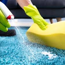 how to clean up vomit from carpet