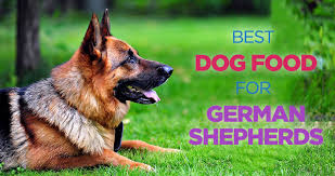 Best Dog Food For German Shepherds A Nutritionally Balanced