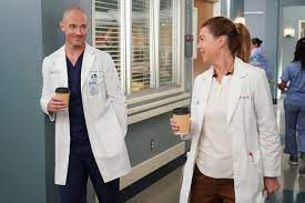 Richard Flood's 'Grey's Anatomy' Exit Confirmed: Hayes Bids Farewell To  Meredith – Deadline