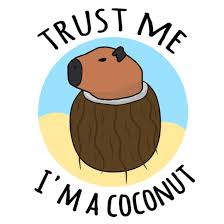 coconut capybara meme mug spreadshirt