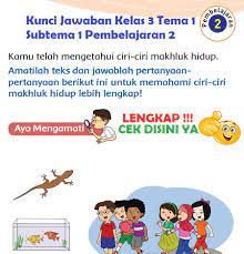 Fungsi dan ciri umum pada makhluk hidup. Lengkap Kunci Jawaban Kelas 3 Tema 1 Subtema 1 Pembelajaran 2 Simple News Kunci Jawaban Lengkap Terbaru