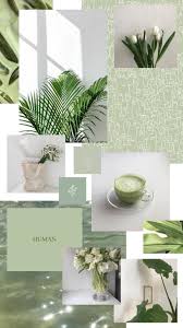 Find 26 images that you can add to blogs, websites, or as desktop and phone wallpapers. Sage Green Aesthetic Wallpaper Nawpic