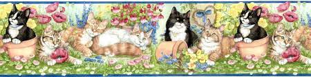 Kitties Kitten Cats Wallpaper Border