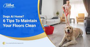 tips to maintain your floors clean