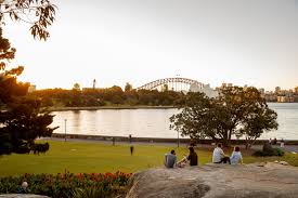 the royal botanic garden sydney