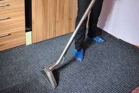 professional carpet cleaners in auckland