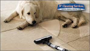 green carpet cleaning on cape cod