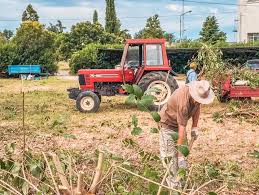 Zaliczanie pracy w gospodarstwie rolnym do lat pracy