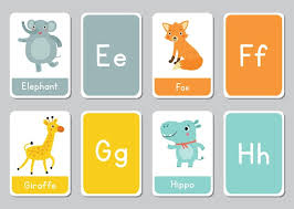 premium vector alphabet flashcards