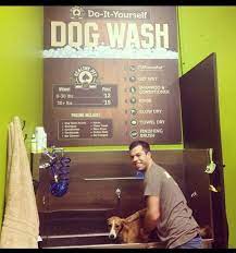 See reviews, photos, directions, phone numbers and more for do it yourself dog wash wichita ks locations in maize, ks. Worried Dog Training Funny Dogismyfamily Populardogsaccessories Dog Grooming Shop Pet Store Ideas Dog Wash