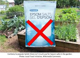 epsom salts no serious garden use