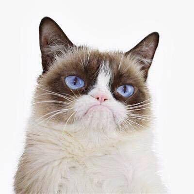 The Official Grumpy Cat (@TheOfficialGrumpyCat) • Facebook