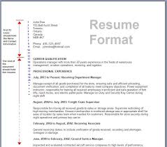 Click Here to Download this Health Care Nurse Practitioner Resume Template   http    MyPerfectCV co uk