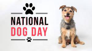 The date of august 26th is significant, as it's the date that colleen's family adopted her first dog sheltie from the local animal shelter, when colleen was 10. It S National Dog Day Kget 17