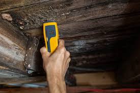 how to get rid of mold on floor joists