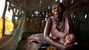 Image result for mosquito  malaria  pictures africa