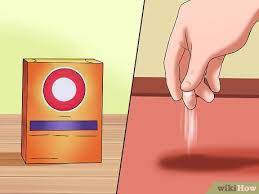 how to clean up dog diarrhea 10 steps