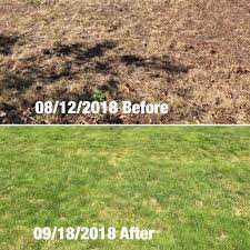 How to make grass green fast | JL Fine Finishes LLC