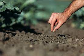 order garden soil delivery now for