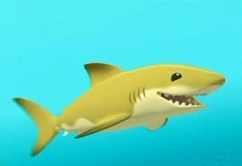 Image result for lemon shark