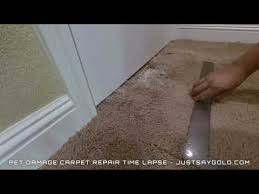 carpet repair man carpet stretching