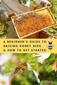Has been added to your cart. A Beginner S Guide To Raising Honey Bees How To Get Started Honey Bee Box Honey Bee Garden Backyard Bee