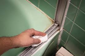 Replace Glass Shower Door Bottom Seal