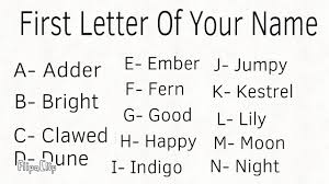your warrior cat name