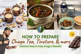 how to make chaga tea and other recipes