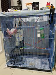 Bagi kami, jenis inilah yang. Sangkar Sugar Glider Cage Sangkar Burung Pet Supplies Pet Accessories On Carousell