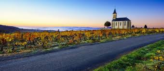Would you send a friend who is visiting for the first time to this place or activity?yes no unsure. The Beaujolais Vineyard