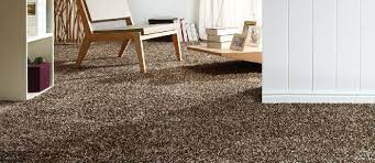 wool saxony carpet at best in