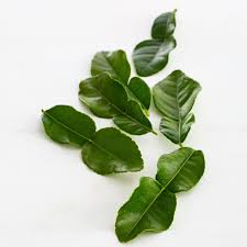 fresh makrut lime leaves
