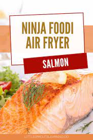 ninja foodi air fryer salmon little