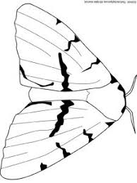 As we all know that there are 12 months in the year and finding coloring pages for all the months (january, february, march, april, may, june, july, august, september, october, november, december) are one place is very difficult.so we have made a complete collection of coloring pages for the months of year for free printable. Gypsy Moth Audio Stories For Kids Free Coloring Pages Colouring Printables