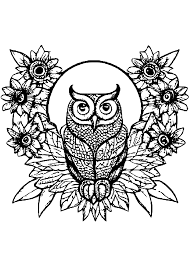 cute baby owl and flowers coloring page