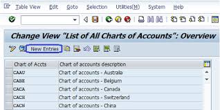 create new chart of accounts in sap
