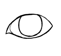 How to draw cartoon animal eyes. How To Draw A Cartoon Eye Female Feltmagnet