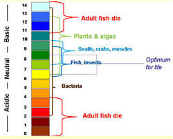 What Ph Levels Are Best For Your Fish Aquarium Chest